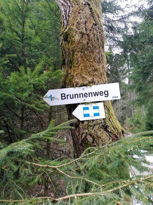 Foto des Albums: Rundwanderung bei Mehlmeisel Neugrün, Mähring, Hempelsberg