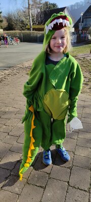 Foto des Albums: Rosenmontag