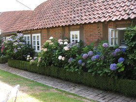 Foto des Albums: Juli 2018