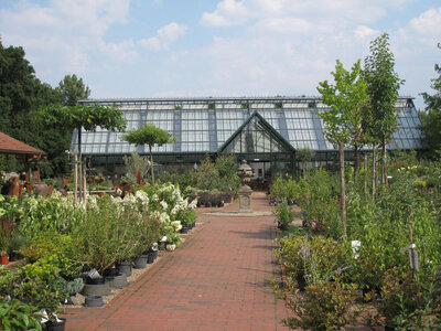 Foto des Albums: Juli 2018