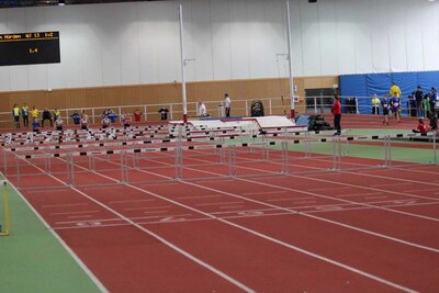 Foto des Albums: LM Halle U12/U14 Potsdam