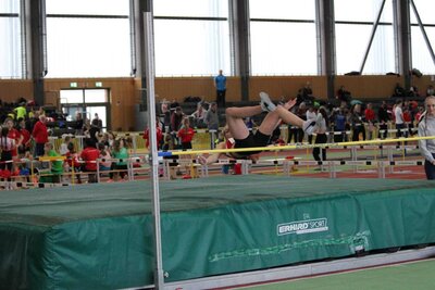 Foto des Albums: LM Halle U12/U14 Potsdam