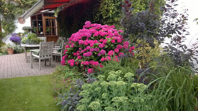 Foto des Albums: Juli 2019