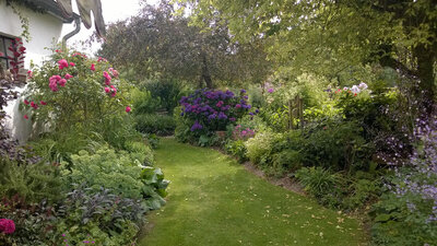 Foto des Albums: Juli 2019