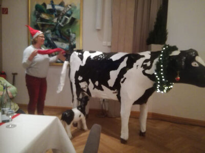 Foto des Albums: Unsere Weihnachtsfeier im Landhotel Voshövel