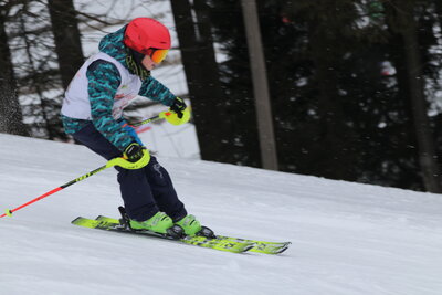 Foto des Albums: LM2022