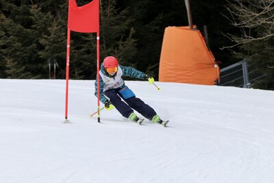 Foto des Albums: LM2022