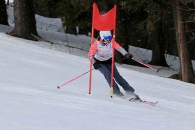 Foto des Albums: LM2022