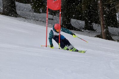 Foto des Albums: LM2022