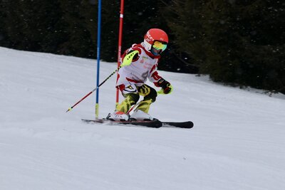 Foto des Albums: LM2022