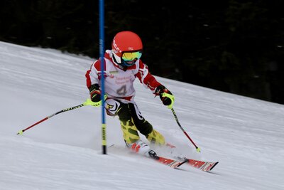 Foto des Albums: LM2022