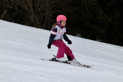 Foto des Albums: LM2022