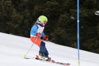 Foto des Albums: LM2022