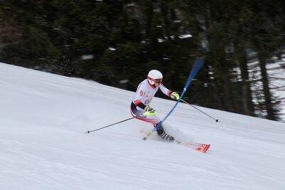 Foto des Albums: LM2022