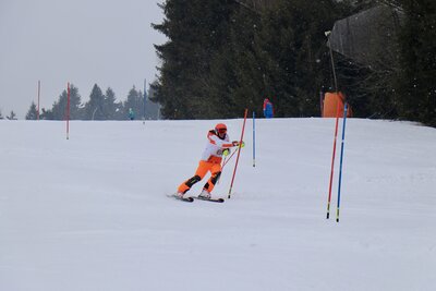 Foto des Albums: LM2022