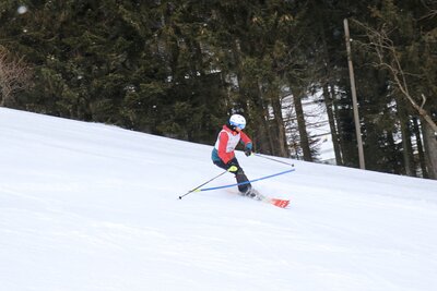 Foto des Albums: LM2022