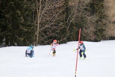 Foto des Albums: LM2022