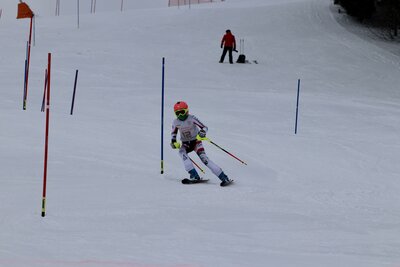 Foto des Albums: LM2022