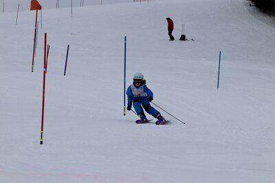 Foto des Albums: LM2022