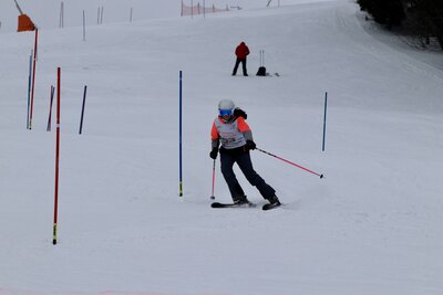 Foto des Albums: LM2022