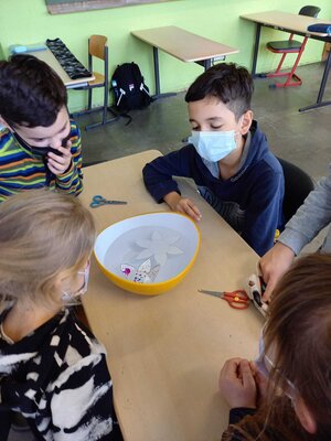 Foto des Albums: Projektunterricht