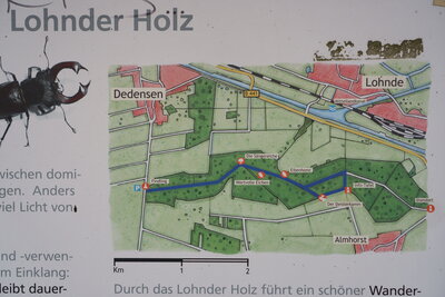 Durch das Lohnder Holz  (Bild vergr&ouml;&szlig;ern)