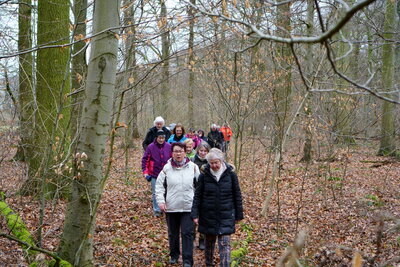 Wald vor Almhorst -1  (Bild vergr&ouml;&szlig;ern)