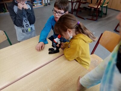 Foto des Albums: Winterferien 2022