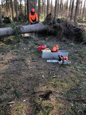 Foto des Albums: Fortbildung an der Kettensäge