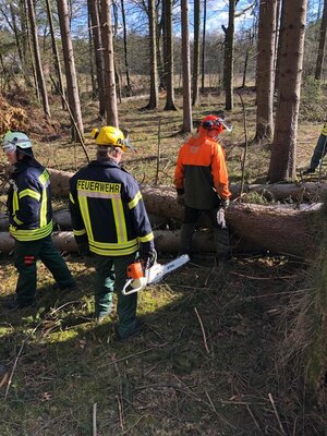 Foto des Albums: Fortbildung an der Kettensäge