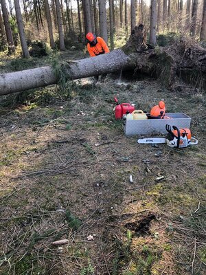 Foto des Albums: Fortbildung an der Kettensäge