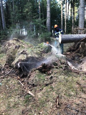 Foto des Albums: Fortbildung an der Kettensäge