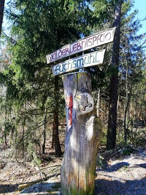Foto des Albums: Rundwanderung auf dem Walderlebnispfad Fuchsmühl