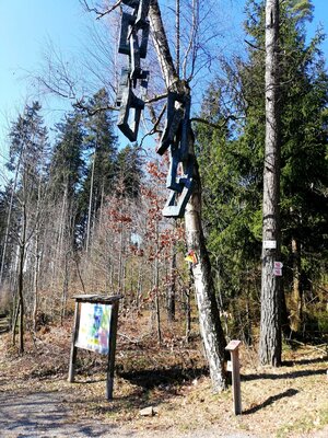 Foto des Albums: Rundwanderung auf dem Walderlebnispfad Fuchsmühl