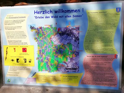 Foto des Albums: Rundwanderung auf dem Walderlebnispfad Fuchsmühl
