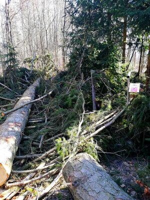 Foto des Albums: Rundwanderung auf dem Walderlebnispfad Fuchsmühl