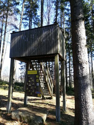 Foto des Albums: Rundwanderung auf dem Walderlebnispfad Fuchsmühl