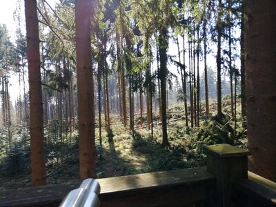 Foto des Albums: Rundwanderung auf dem Walderlebnispfad Fuchsmühl