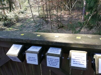 Foto des Albums: Rundwanderung auf dem Walderlebnispfad Fuchsmühl