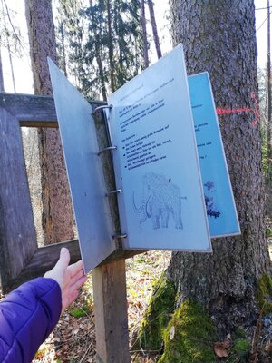 Foto des Albums: Rundwanderung auf dem Walderlebnispfad Fuchsmühl