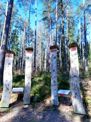 Foto des Albums: Rundwanderung auf dem Walderlebnispfad Fuchsmühl