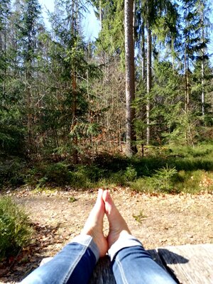 Foto des Albums: Rundwanderung auf dem Walderlebnispfad Fuchsmühl