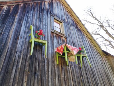 Foto des Albums: Rundwanderung auf dem Walderlebnispfad Fuchsmühl
