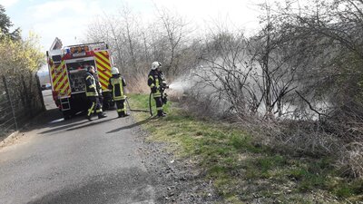 Foto des Albums: Flächenbrand - Auf dem Falkenberg