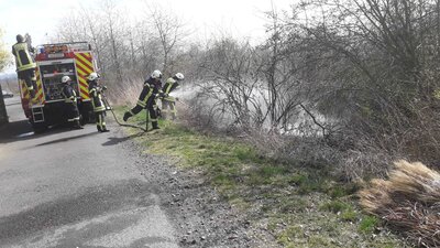 Foto des Albums: Flächenbrand - Auf dem Falkenberg