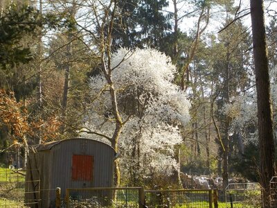 Foto des Albums: Tour 5 - Winterwanderung der Senior*innen: Rund um Niederrodenbach