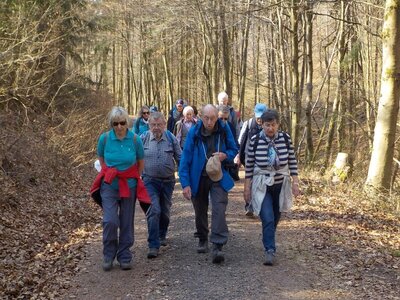 Foto des Albums: Tour 5 - Winterwanderung der Senior*innen: Rund um Niederrodenbach