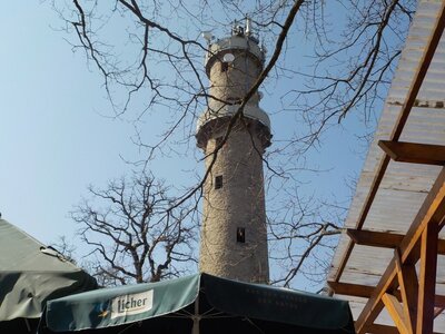 Foto des Albums: Tour 5 - Winterwanderung der Senior*innen: Rund um Niederrodenbach