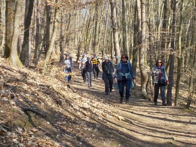 Foto des Albums: Tour 5 - Winterwanderung der Senior*innen: Rund um Niederrodenbach