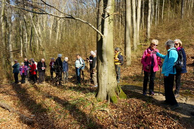 An der Ackerbeeke  (Bild vergr&ouml;&szlig;ern)